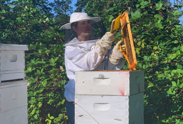 The honey detectives work